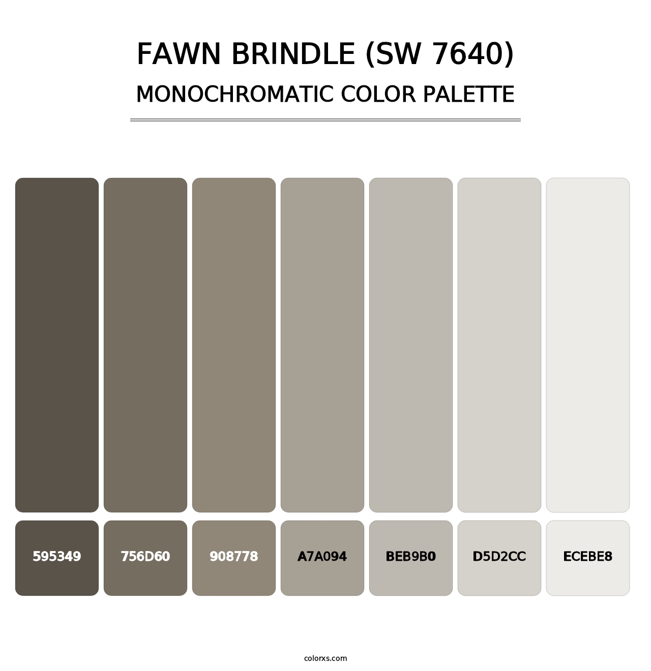 Fawn Brindle (SW 7640) - Monochromatic Color Palette