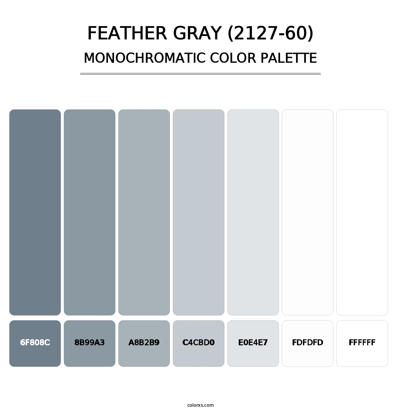 Feather Gray (2127-60) - Monochromatic Color Palette