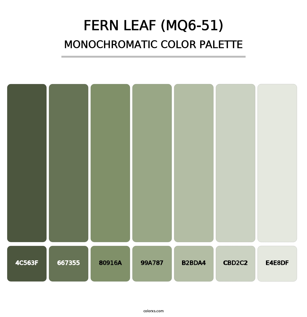 Fern Leaf (MQ6-51) - Monochromatic Color Palette