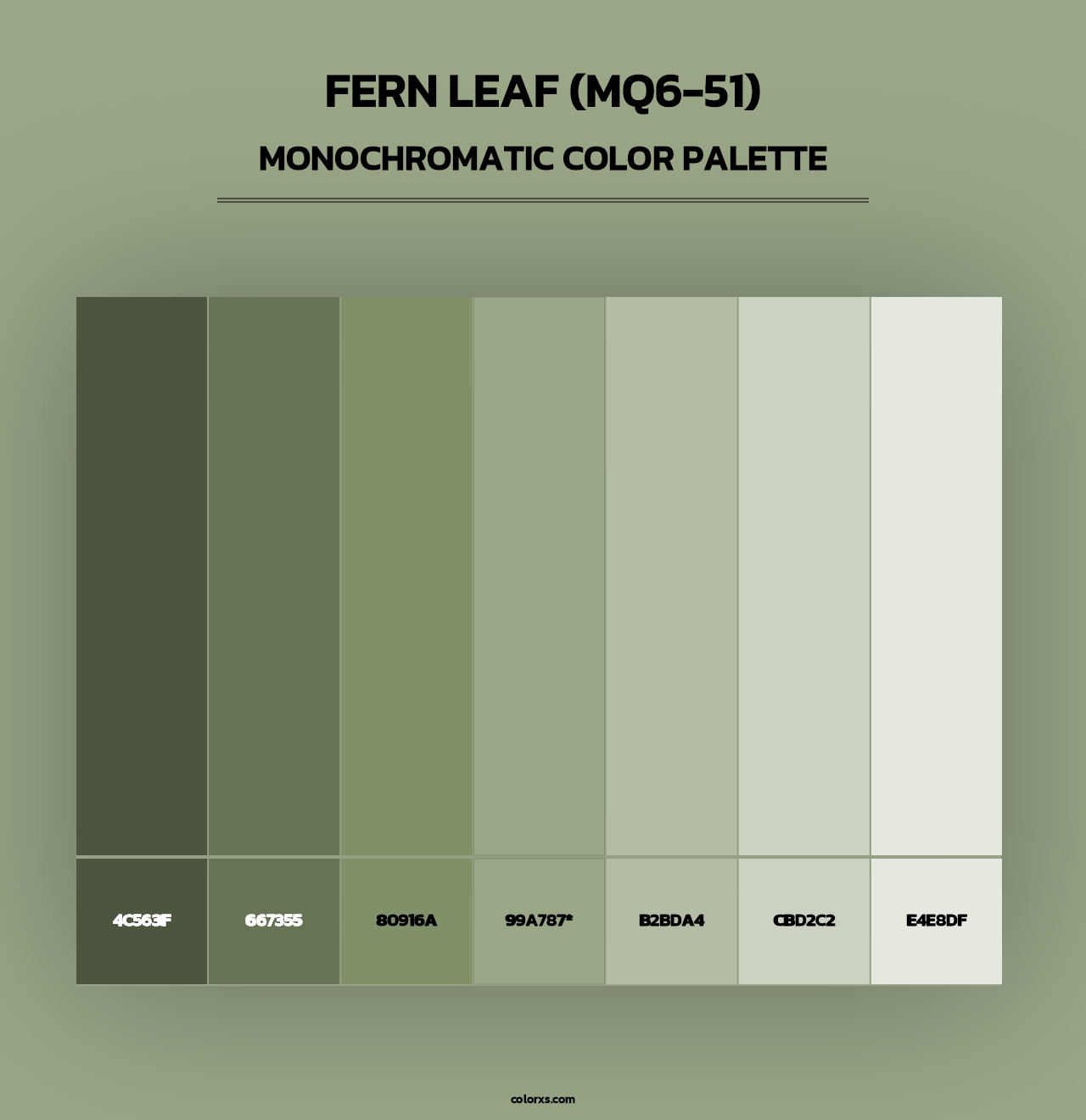 Fern Leaf (MQ6-51) - Monochromatic Color Palette