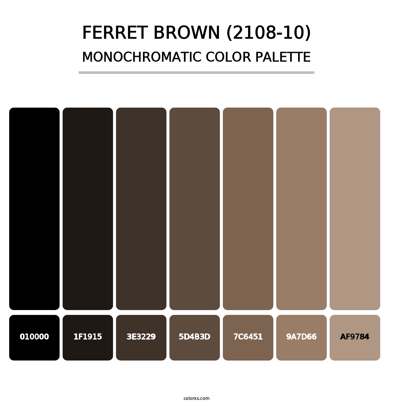 Ferret Brown (2108-10) - Monochromatic Color Palette