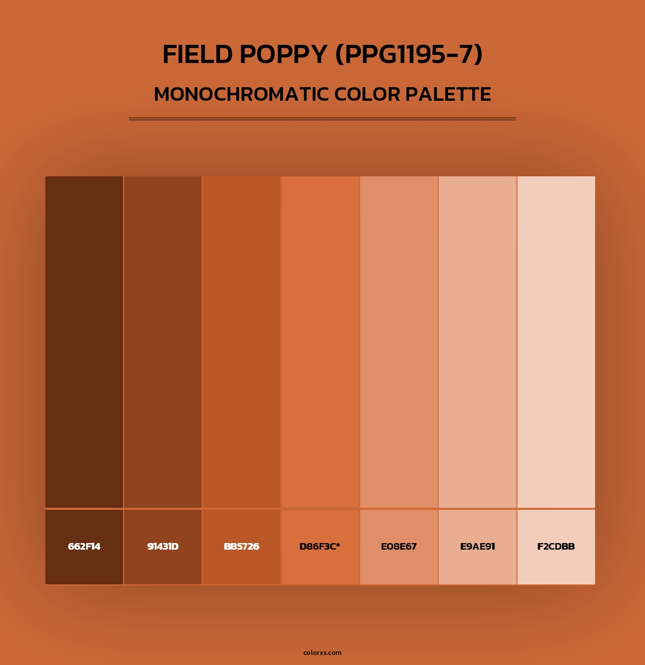 Field Poppy (PPG1195-7) - Monochromatic Color Palette