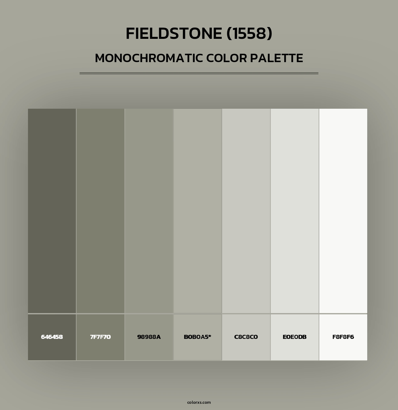 Fieldstone (1558) - Monochromatic Color Palette