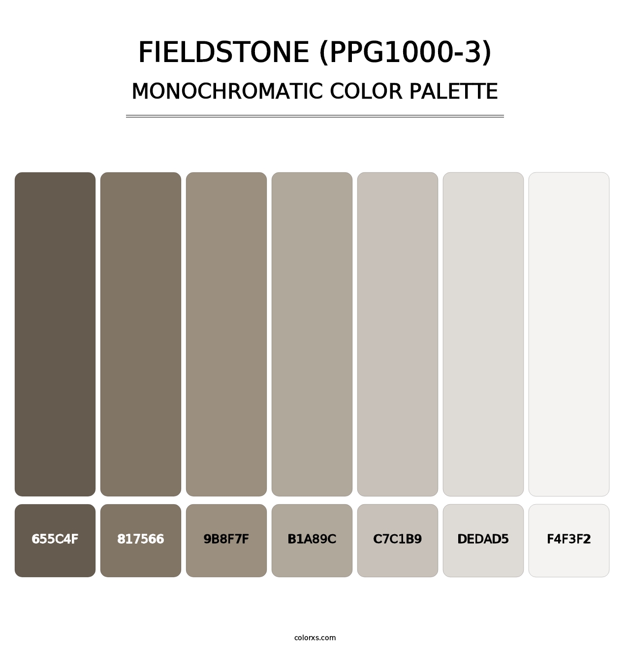 Fieldstone (PPG1000-3) - Monochromatic Color Palette