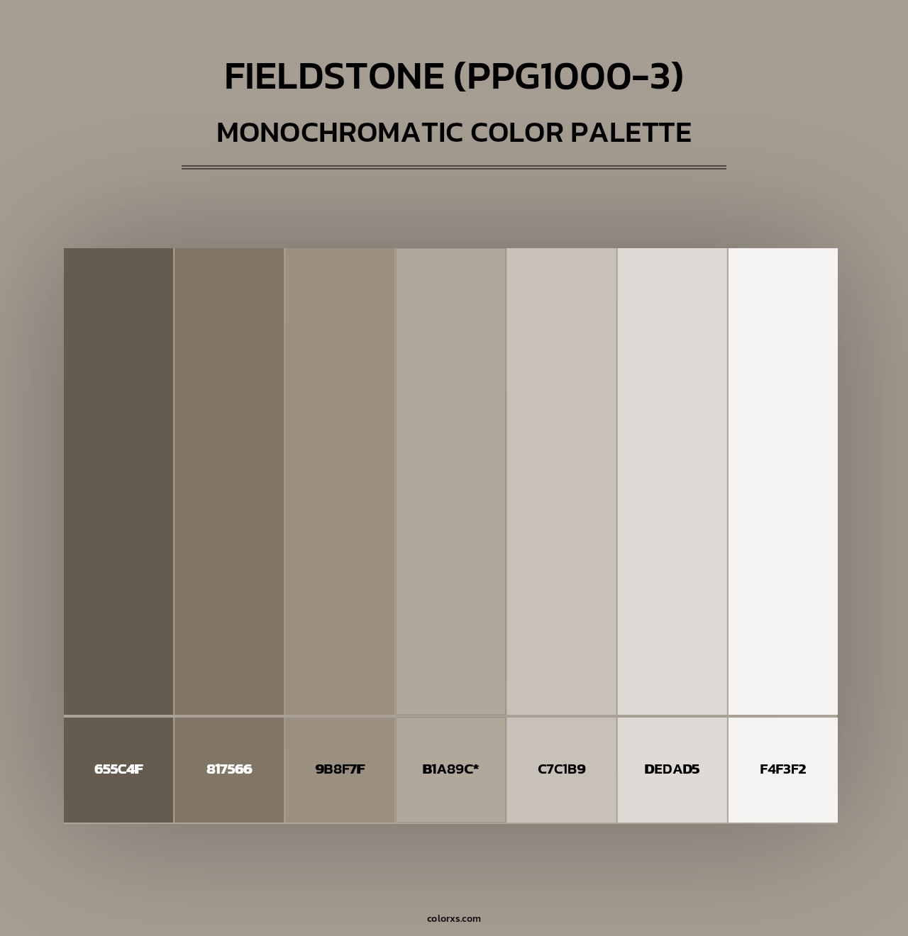 Fieldstone (PPG1000-3) - Monochromatic Color Palette