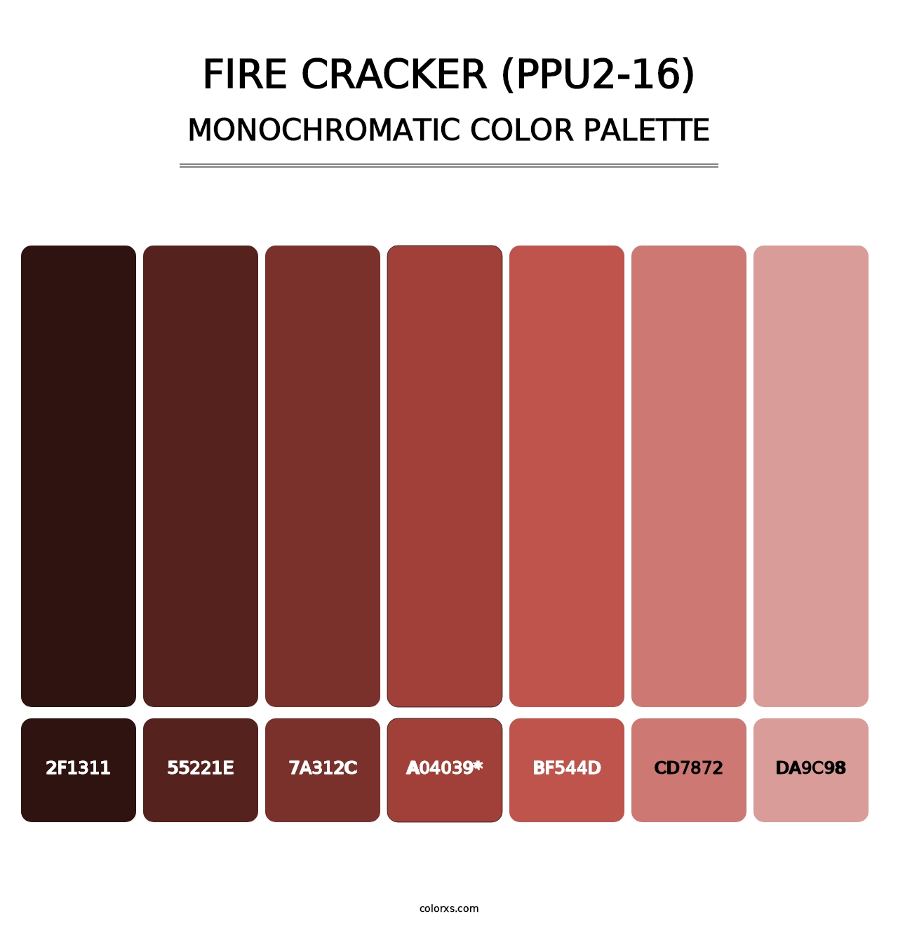 Fire Cracker (PPU2-16) - Monochromatic Color Palette
