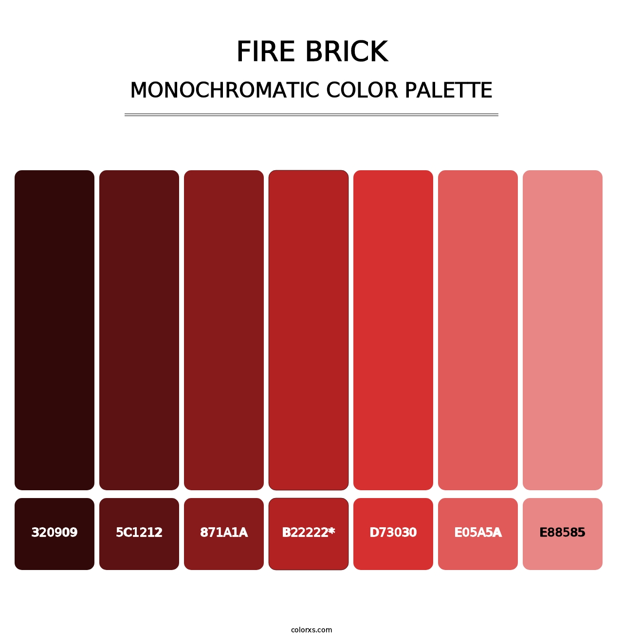 Fire Brick - Monochromatic Color Palette
