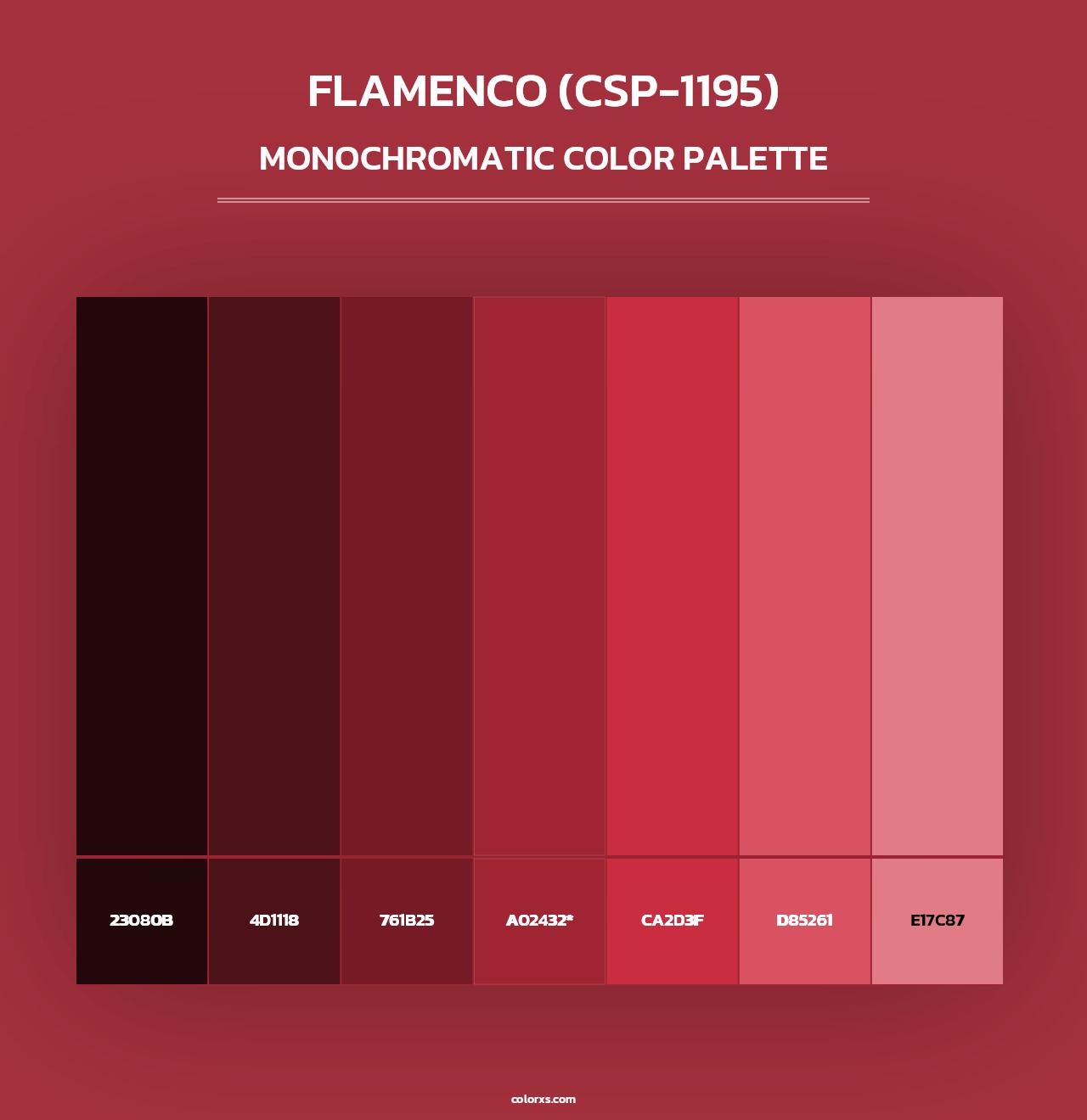Flamenco (CSP-1195) - Monochromatic Color Palette