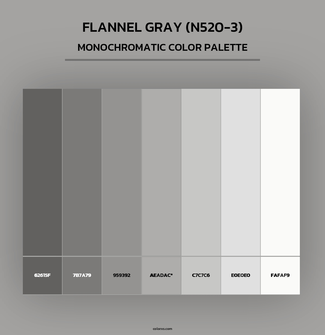 Flannel Gray (N520-3) - Monochromatic Color Palette