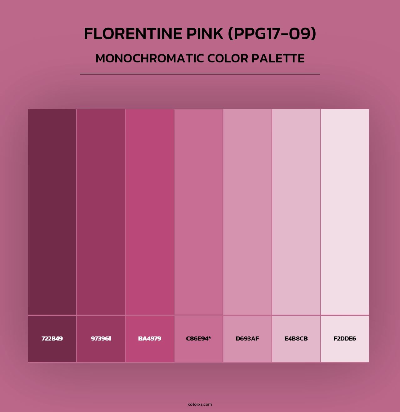 Florentine Pink (PPG17-09) - Monochromatic Color Palette