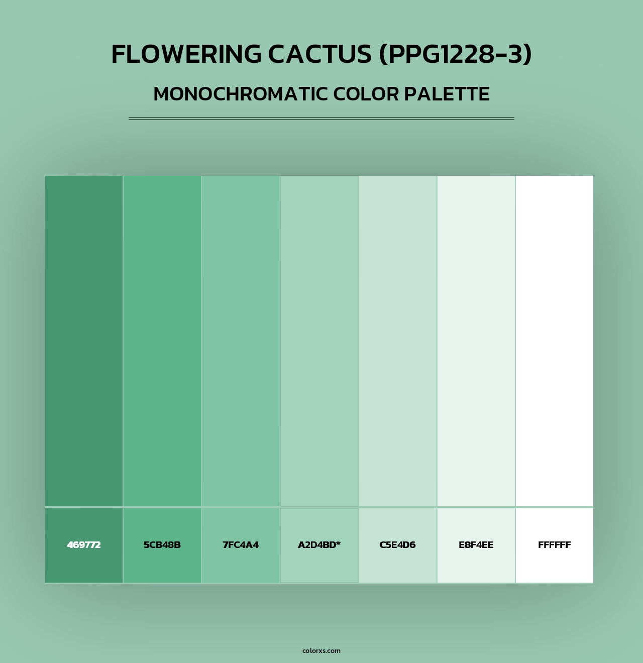 Flowering Cactus (PPG1228-3) - Monochromatic Color Palette