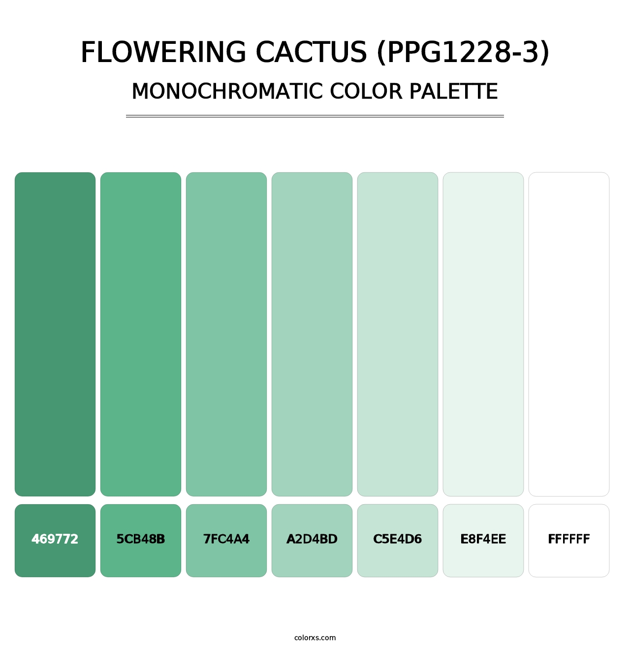 Flowering Cactus (PPG1228-3) - Monochromatic Color Palette