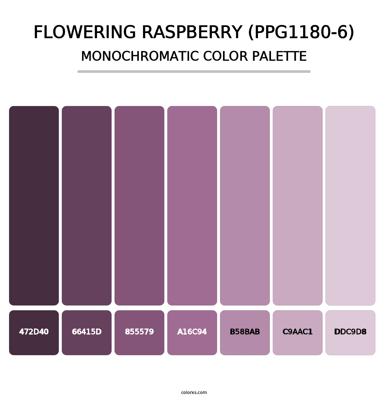 Flowering Raspberry (PPG1180-6) - Monochromatic Color Palette