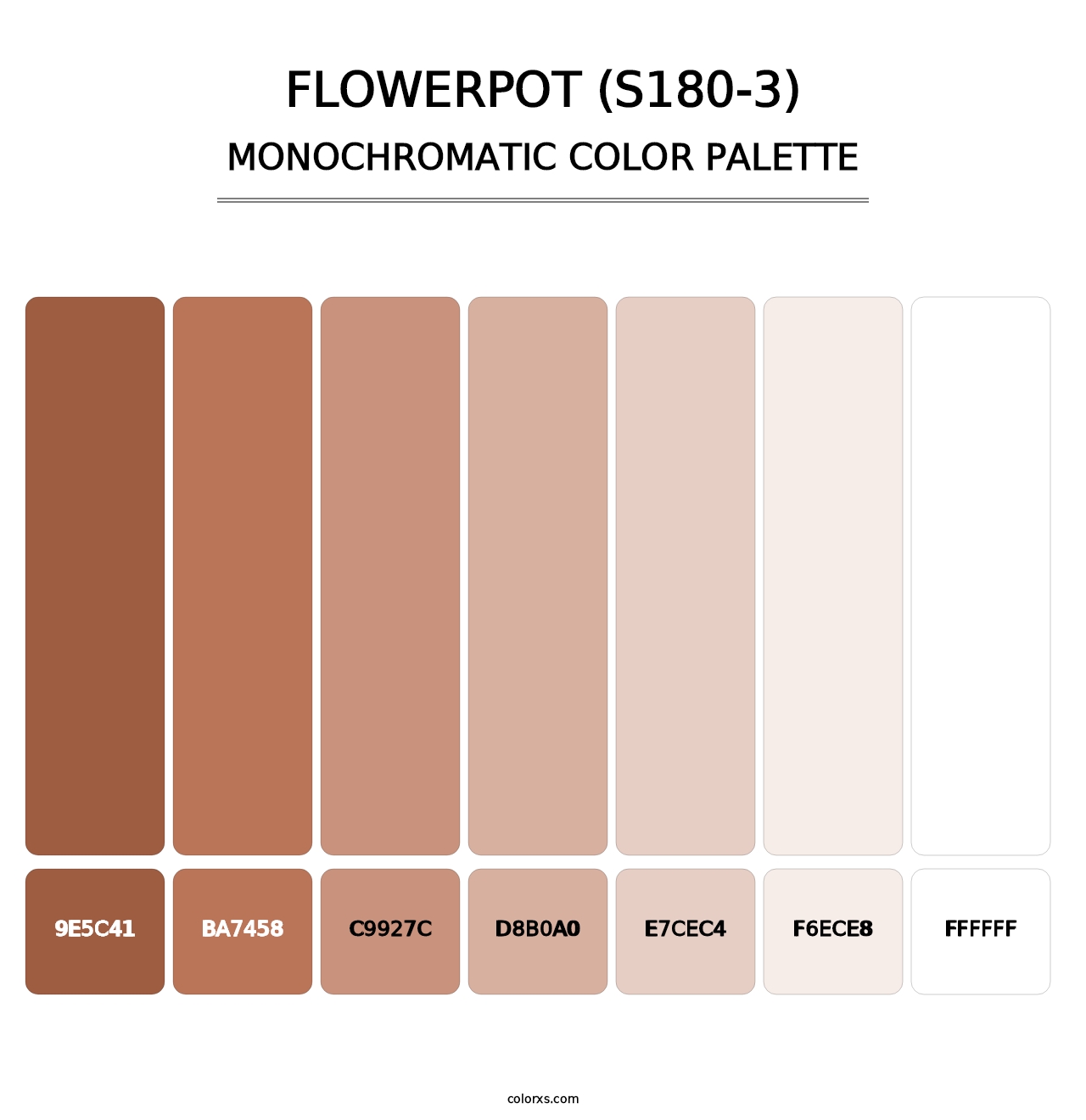 Flowerpot (S180-3) - Monochromatic Color Palette