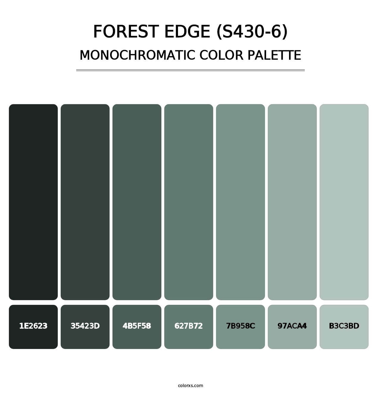 Forest Edge (S430-6) - Monochromatic Color Palette
