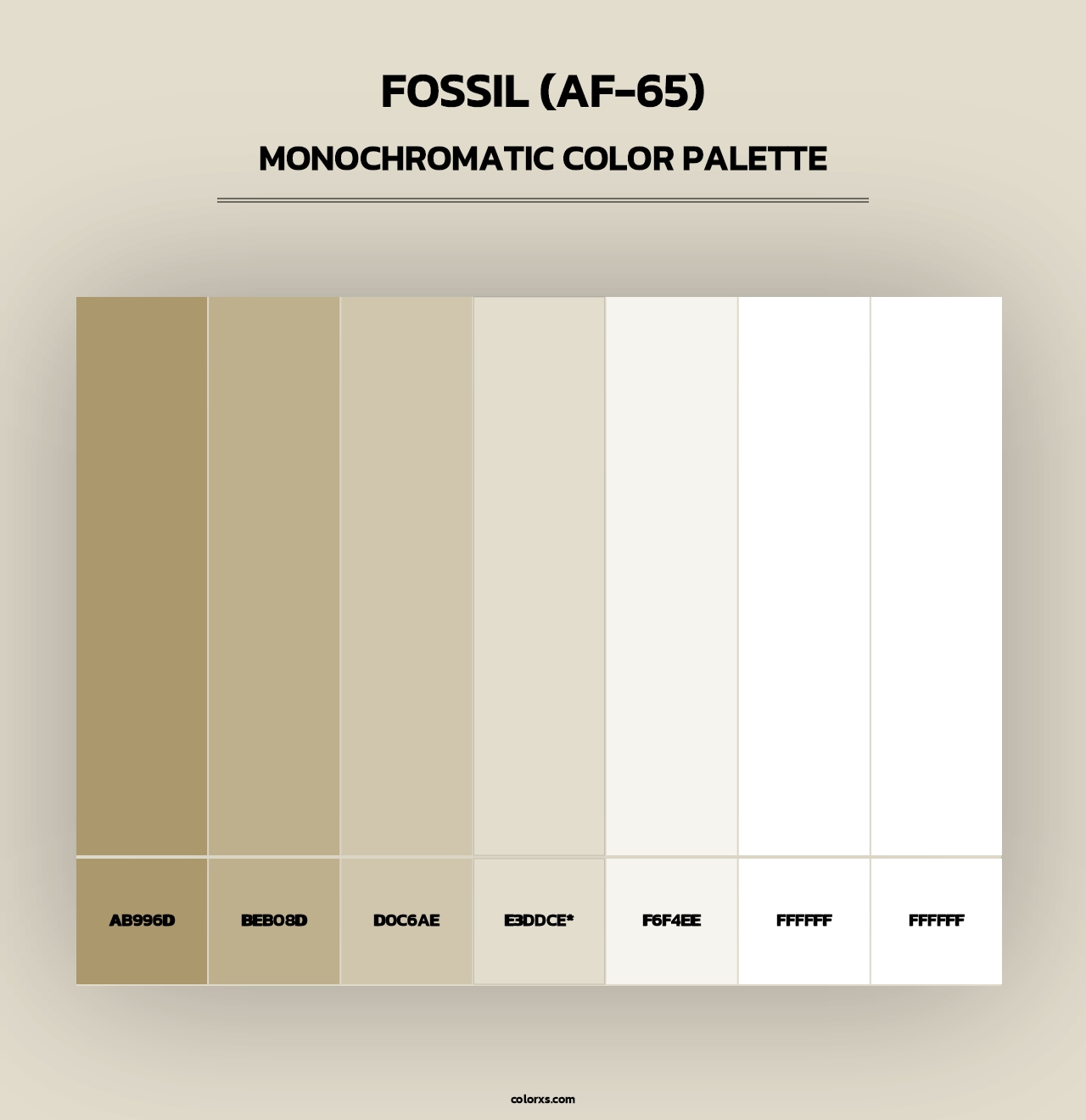 Fossil (AF-65) - Monochromatic Color Palette