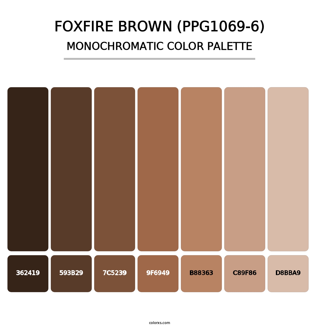 Foxfire Brown (PPG1069-6) - Monochromatic Color Palette