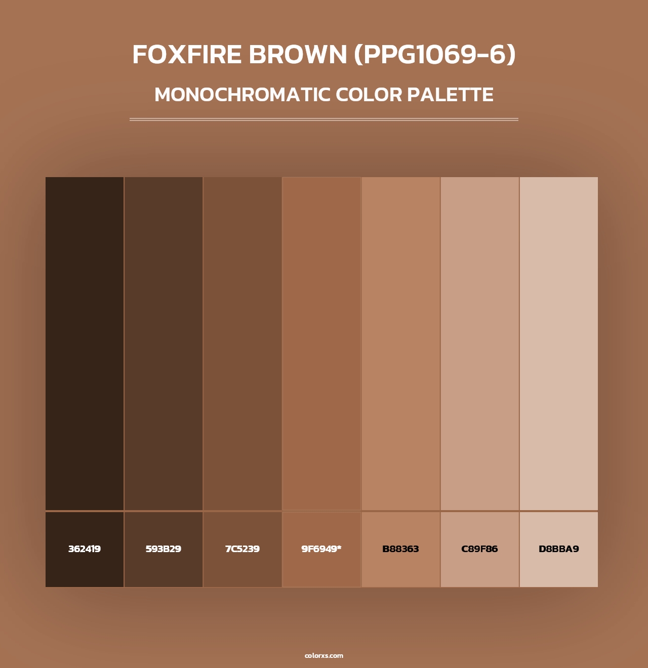 Foxfire Brown (PPG1069-6) - Monochromatic Color Palette