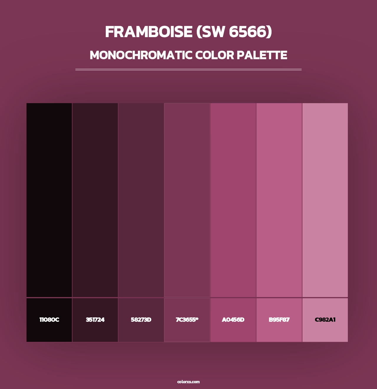 Framboise (SW 6566) - Monochromatic Color Palette