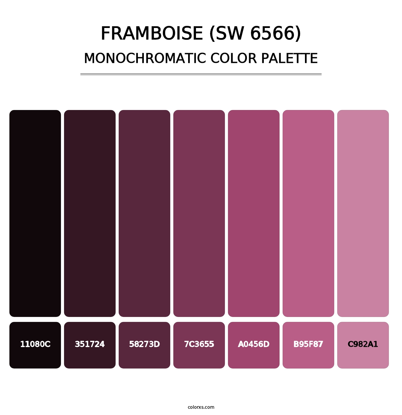 Framboise (SW 6566) - Monochromatic Color Palette