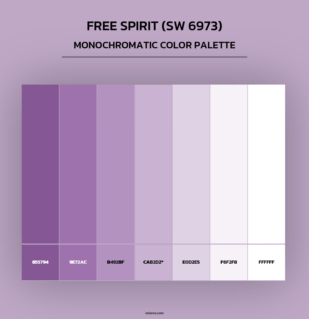 Free Spirit (SW 6973) - Monochromatic Color Palette