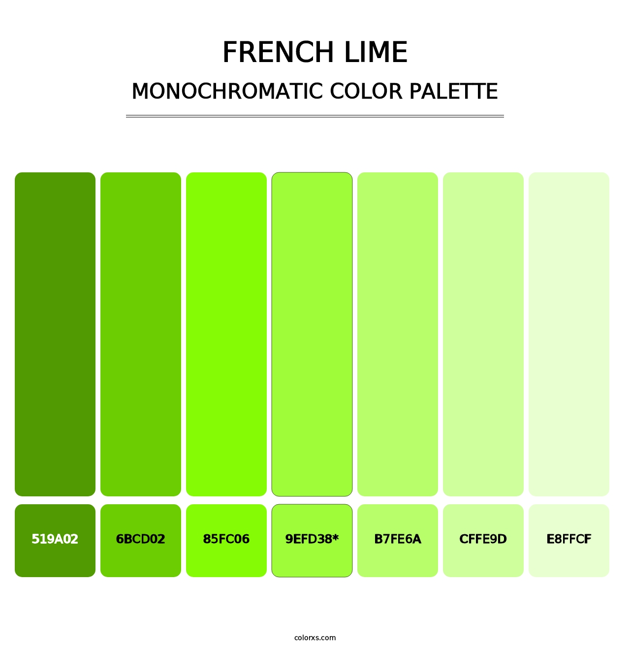 French Lime - Monochromatic Color Palette