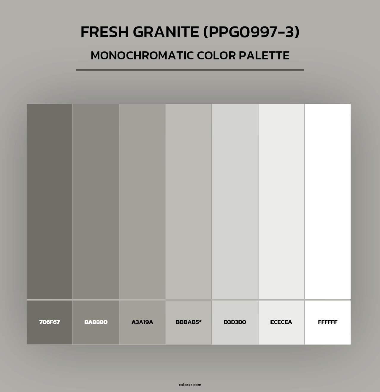 Fresh Granite (PPG0997-3) - Monochromatic Color Palette