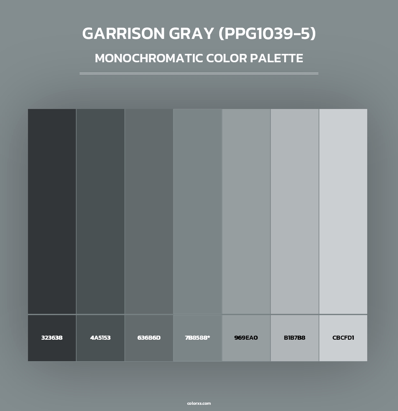 Garrison Gray (PPG1039-5) - Monochromatic Color Palette