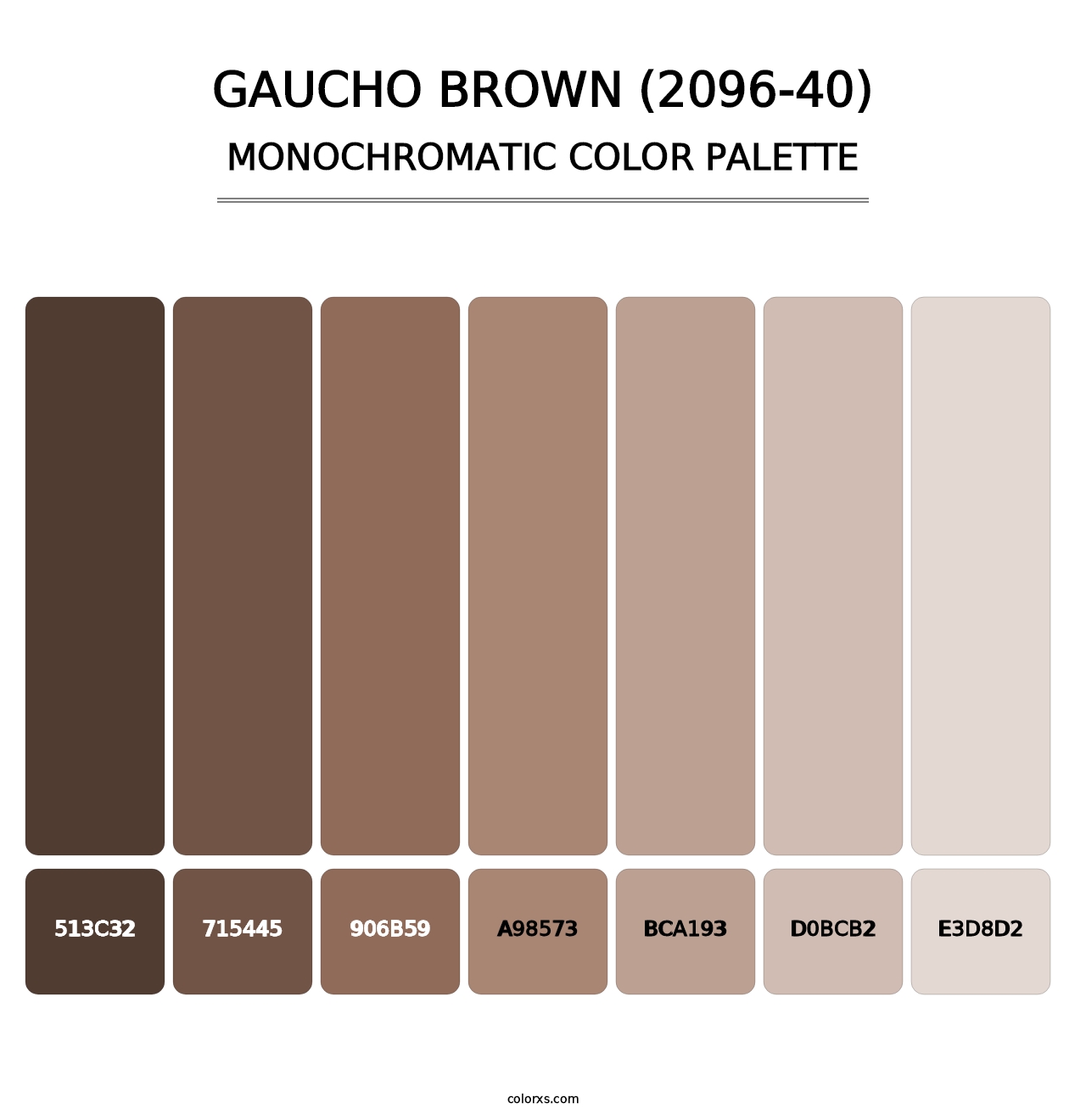 Gaucho Brown (2096-40) - Monochromatic Color Palette