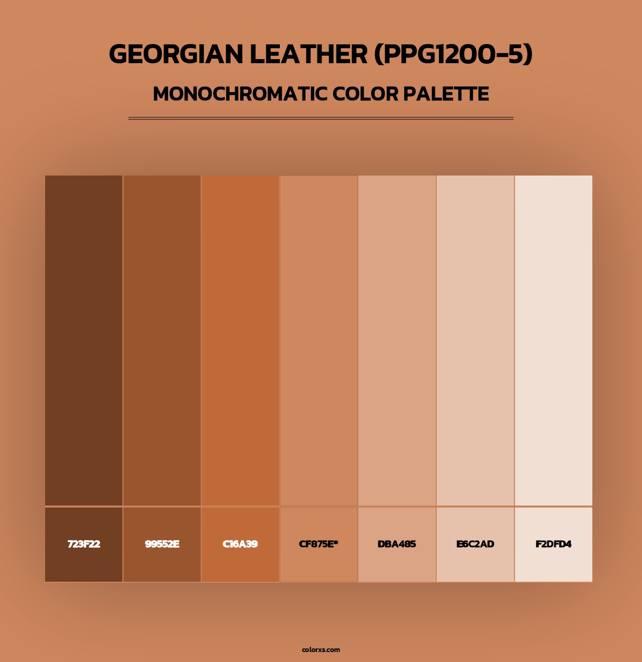 Georgian Leather (PPG1200-5) - Monochromatic Color Palette