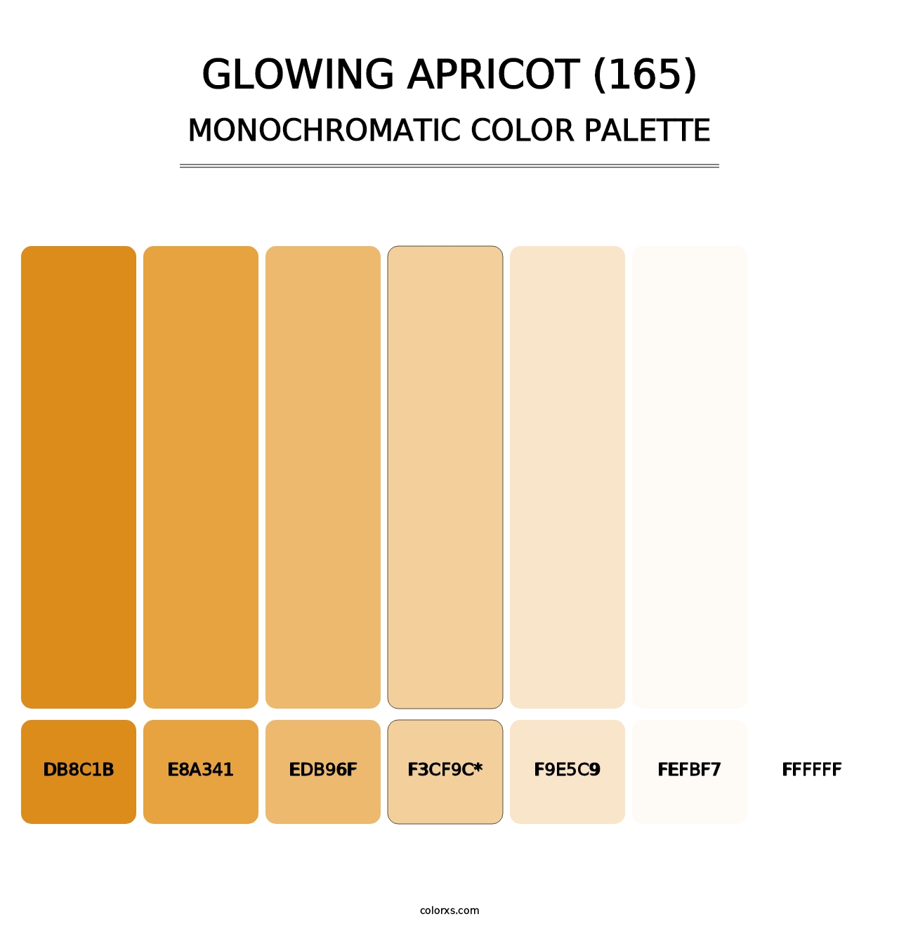Glowing Apricot (165) - Monochromatic Color Palette