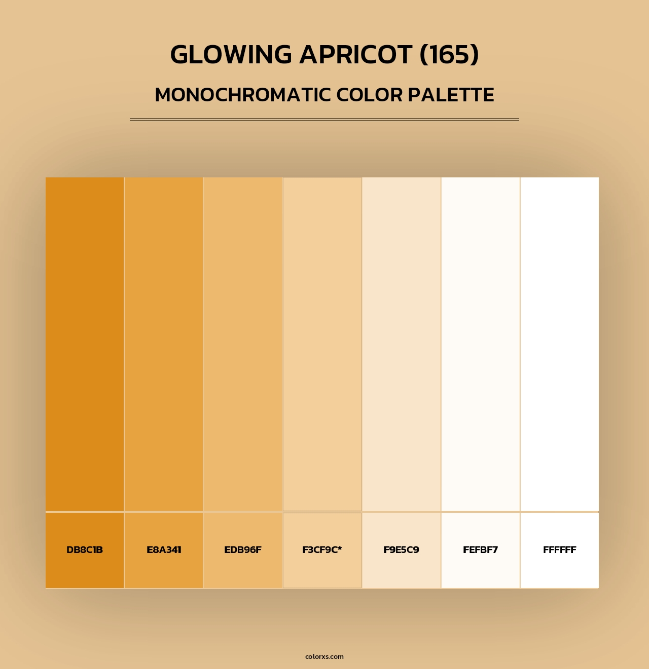 Glowing Apricot (165) - Monochromatic Color Palette