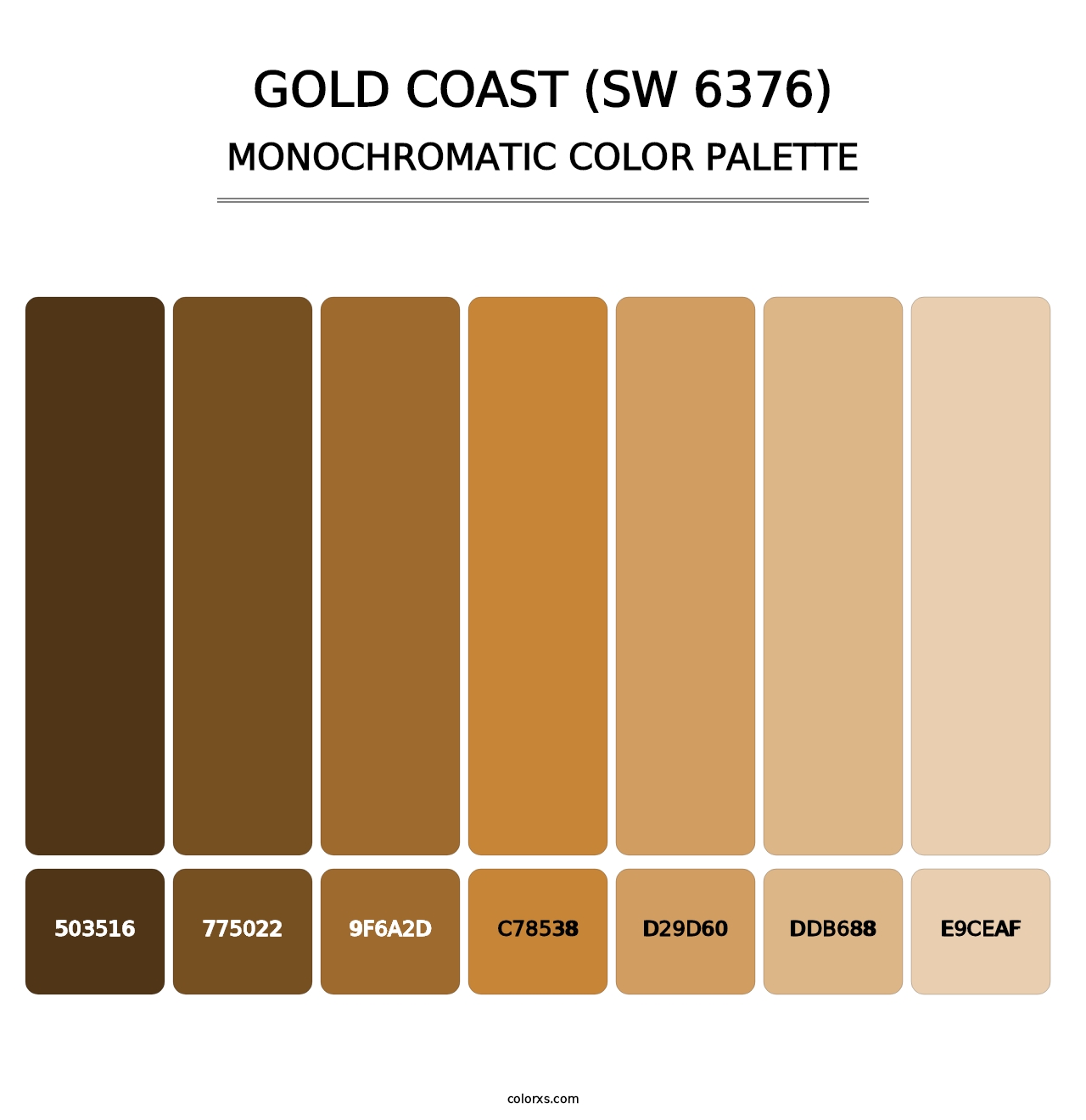 Gold Coast (SW 6376) - Monochromatic Color Palette