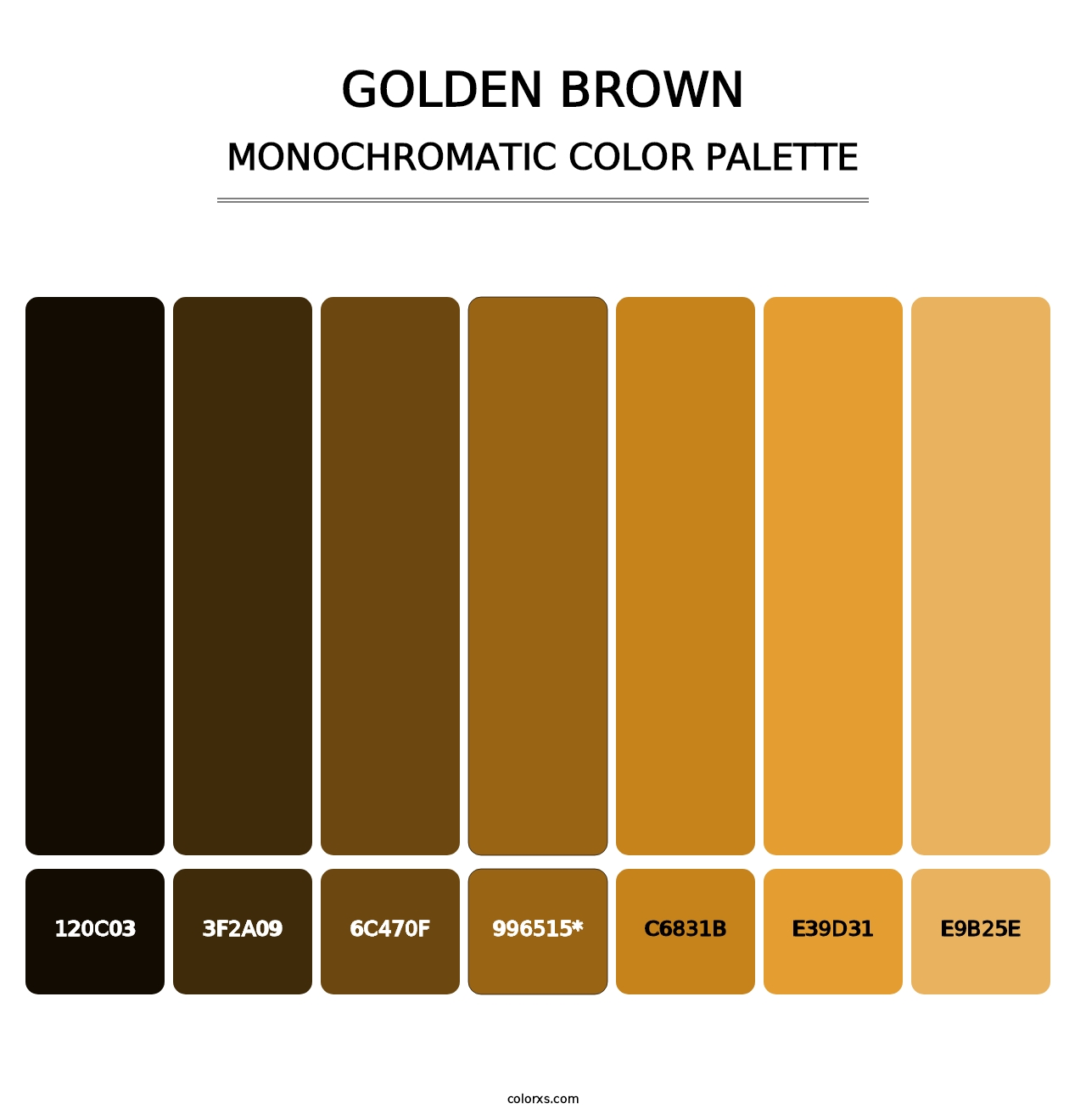 Golden brown - Monochromatic Color Palette