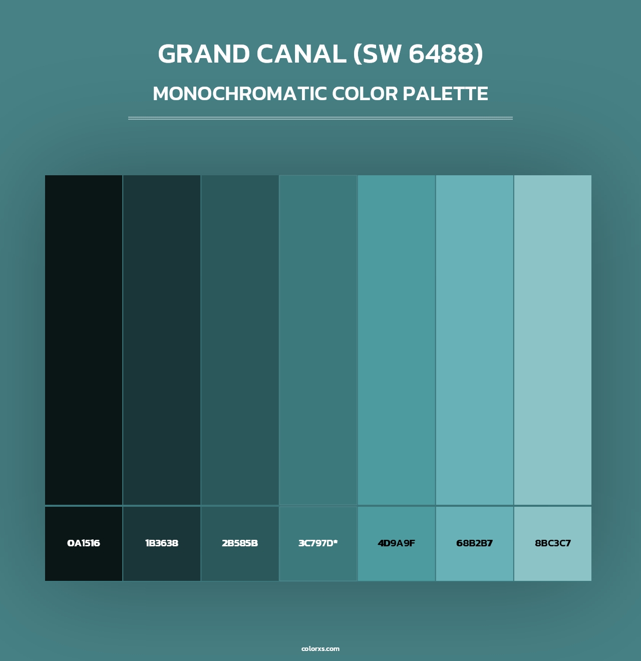Grand Canal (SW 6488) - Monochromatic Color Palette