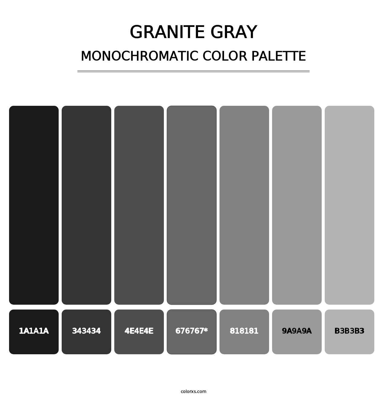 Granite Gray - Monochromatic Color Palette