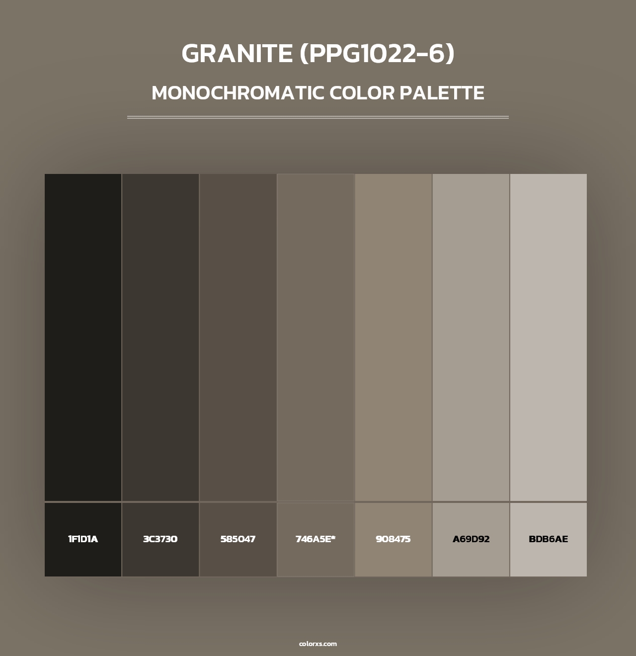 Granite (PPG1022-6) - Monochromatic Color Palette