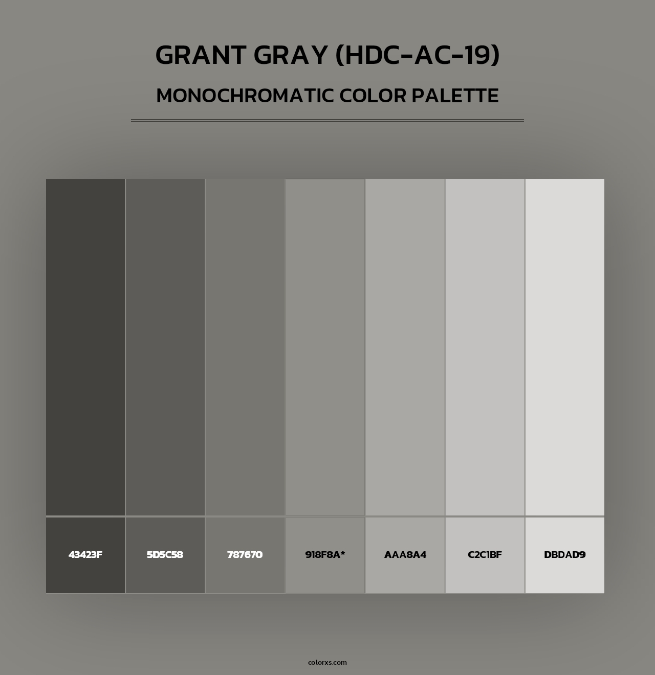 Grant Gray (HDC-AC-19) - Monochromatic Color Palette