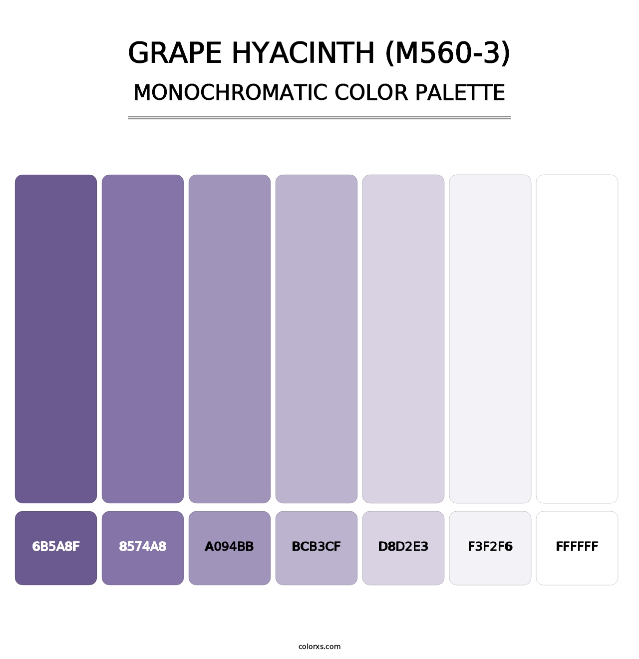 Grape Hyacinth (M560-3) - Monochromatic Color Palette