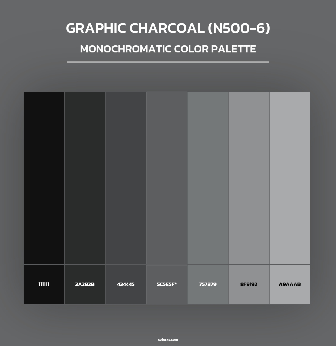 Graphic Charcoal (N500-6) - Monochromatic Color Palette