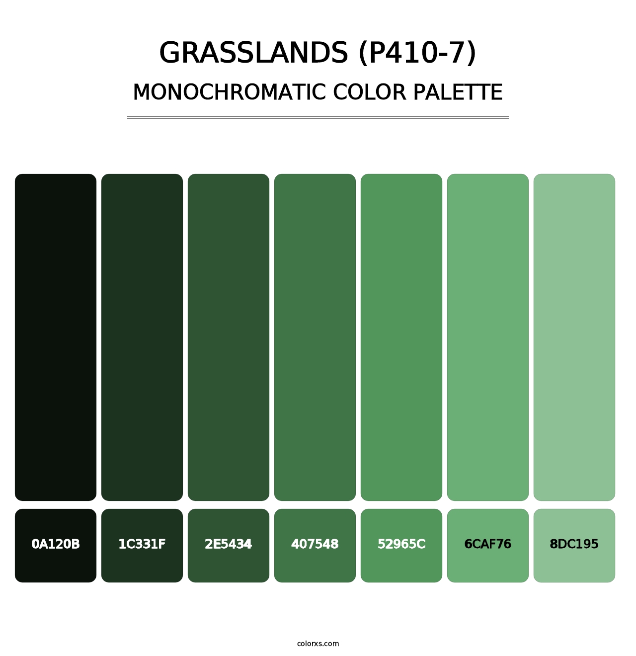 Grasslands (P410-7) - Monochromatic Color Palette