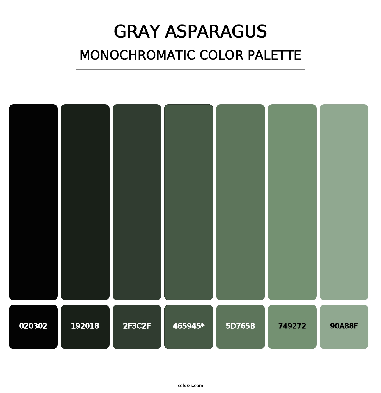Gray Asparagus - Monochromatic Color Palette