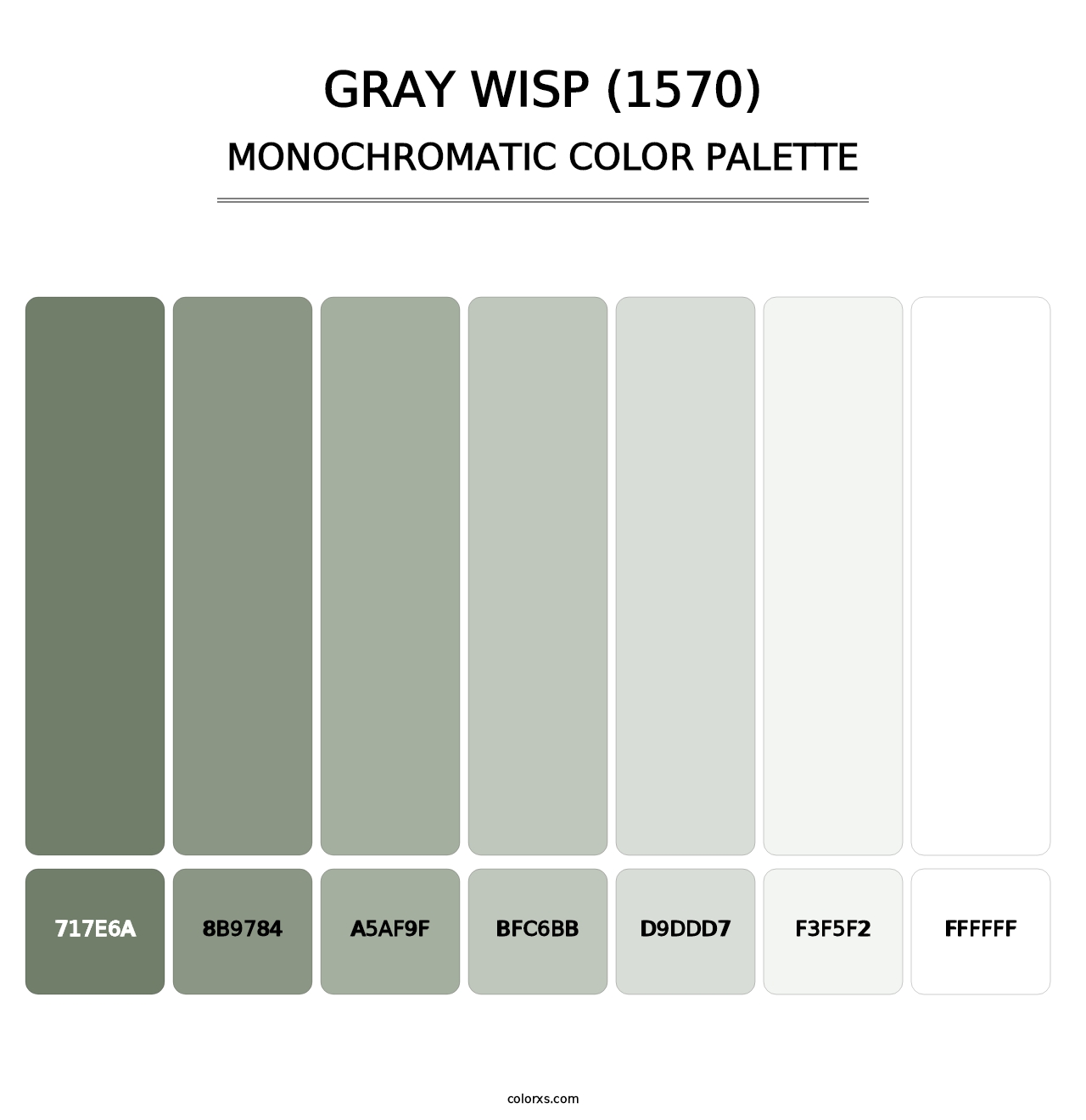Gray Wisp (1570) - Monochromatic Color Palette