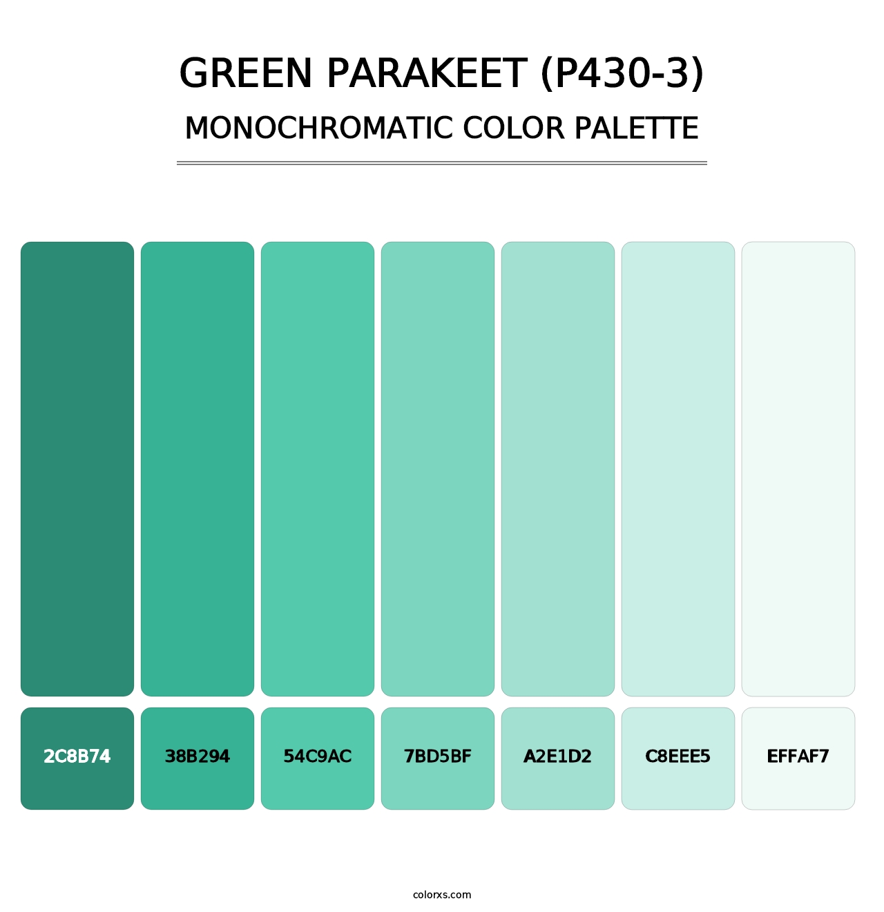 Green Parakeet (P430-3) - Monochromatic Color Palette