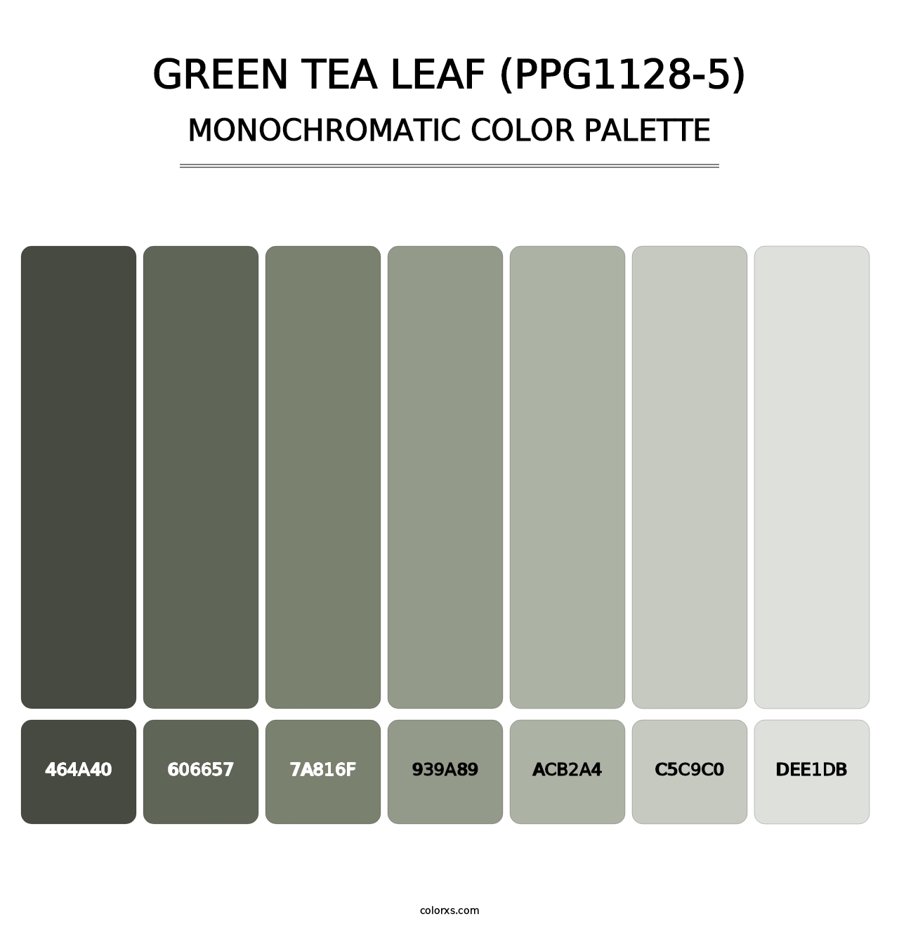 Green Tea Leaf (PPG1128-5) - Monochromatic Color Palette