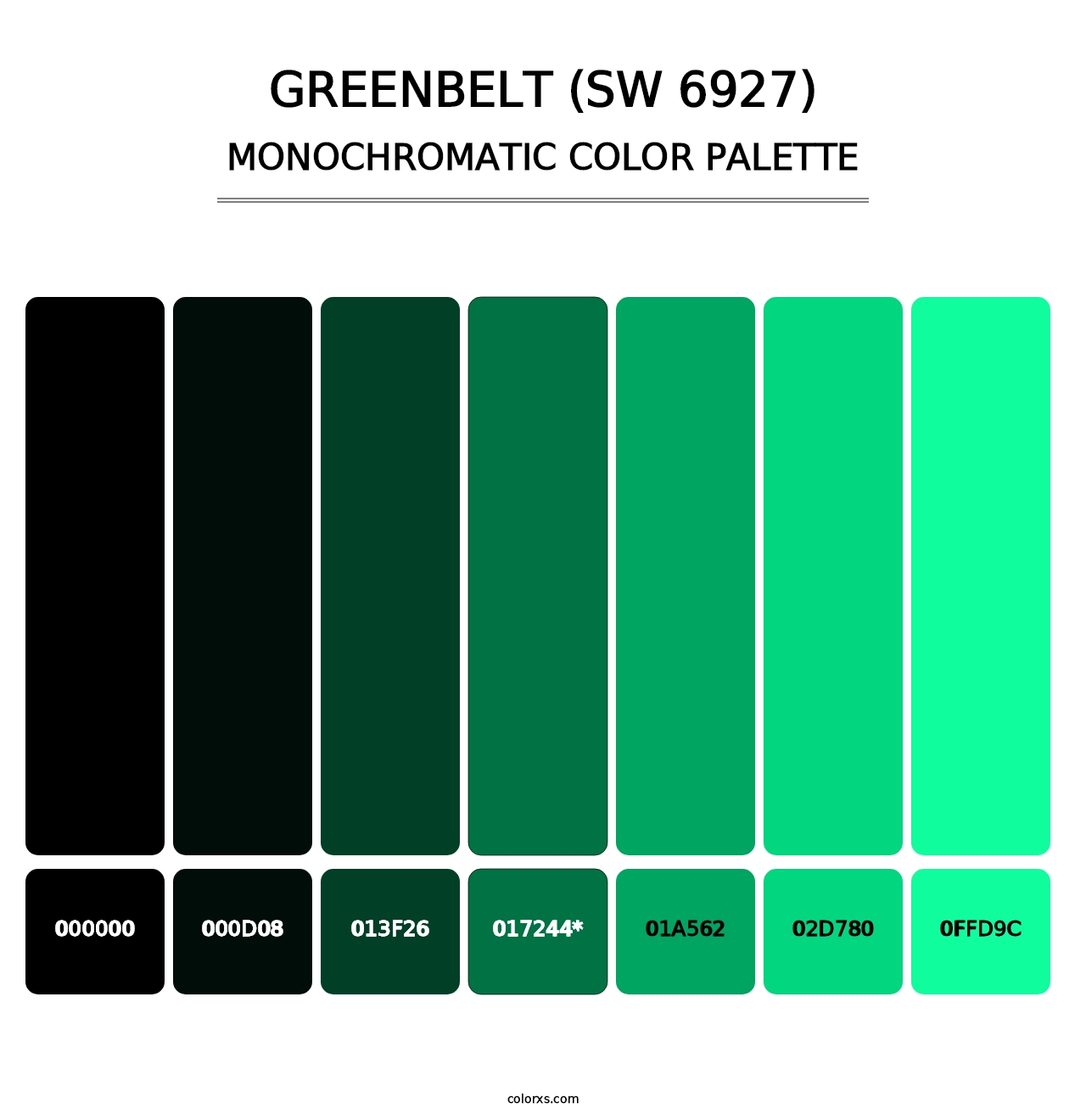 Greenbelt (SW 6927) - Monochromatic Color Palette