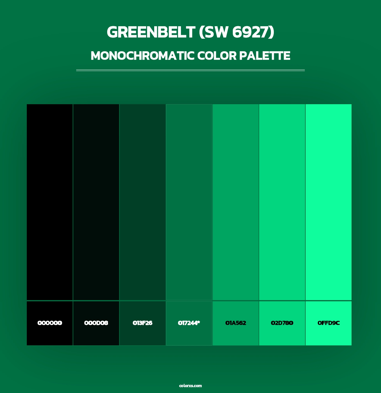 Greenbelt (SW 6927) - Monochromatic Color Palette