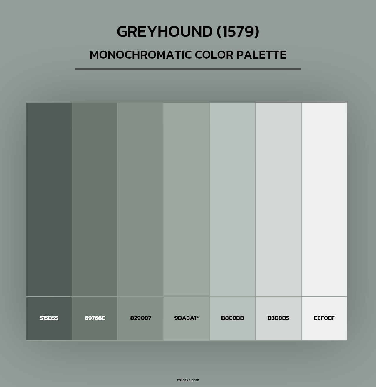 Greyhound (1579) - Monochromatic Color Palette