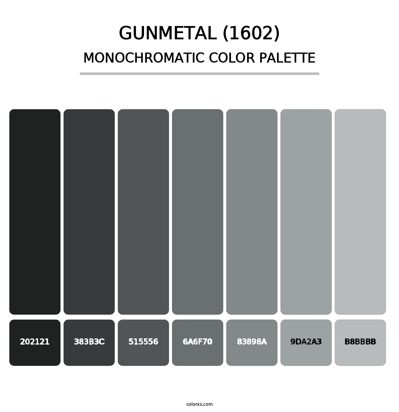 Gunmetal (1602) - Monochromatic Color Palette