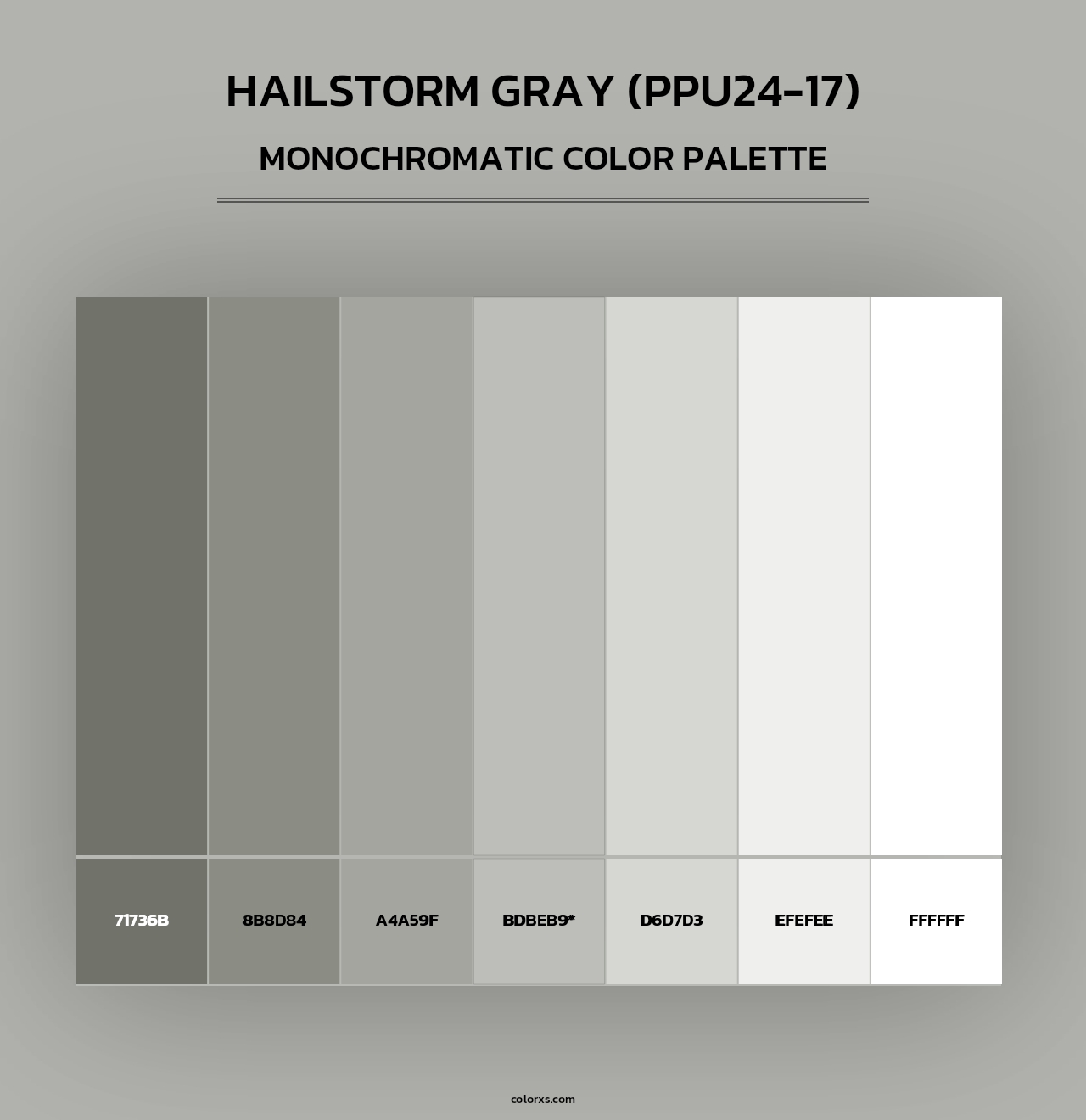 Hailstorm Gray (PPU24-17) - Monochromatic Color Palette